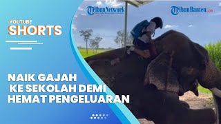 Viral Video Bocah Perempuan 11 Tahun Nekat Naik Gajah ke Sekolah, Alasan Demi Menghemat Uang