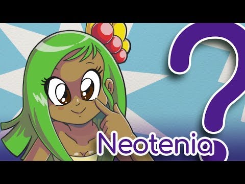 ¿Por qué las "monas chinas" tienen los ojos tan grandes? ¡La neotenia!