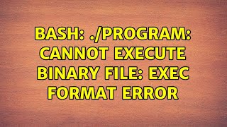 Ubuntu: bash: ./program: cannot execute binary file: Exec format error