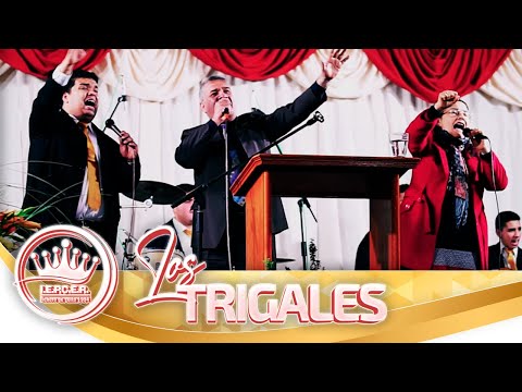Los Trigales VICTORIA EN EL CALVARIO (En Vivo) Letra