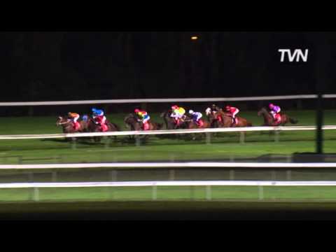 2009 Manikato Stakes - Danleigh