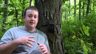 Bushnell Trophy Cam HD Review