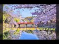 Na Nalla Regadi Polame Radika New Dj Song Mix