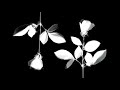 Depeche Mode - To Have and to Hold 🥀 (LYRICS ON SCREEN) 📺