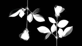 Depeche Mode - To Have and to Hold 🥀 (LYRICS ON SCREEN) 📺