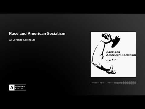 Race and American Socialism