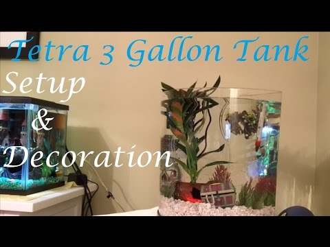Tank Setup! | How to Set Up the Tetra 3 Gallon Halfmoon Aquarium