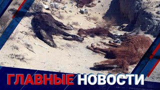 12.07.2021 21:00 Главные новости