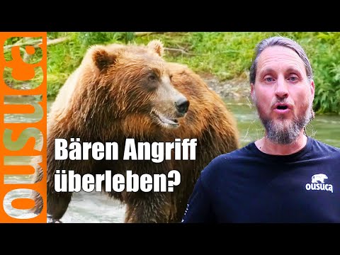 Bären Angriff überleben?