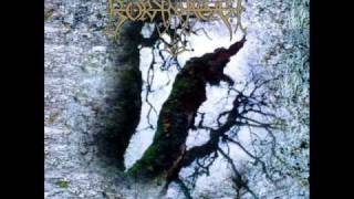 Borknagar - Grimland Domain