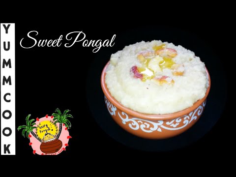 paal Pongal Recipe | Sweet Pongal Recipe | Pongal Special | Sakkari Pongal | Milk pongal |Ep-157