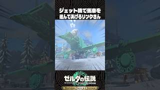 ジェット機で馬車を運んであげるリンクさん【ゼルダの伝説 ティアキン】