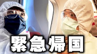 日本に帰ることになりました。