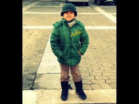 Littlest Pet Shop Opening Title Sequence by Adi