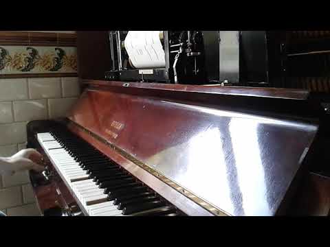 Pagliacci | R. Leoncavallo | Potpourri | 1908 Pianola Steck player piano |
