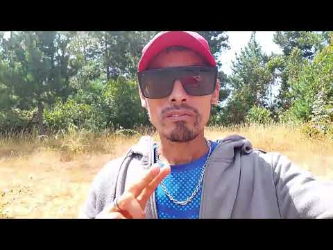 En el campo Huillinco camino a Cañete región del bio bio - naturaleza 