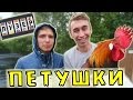 ЛУЗЕР - ПЕТУШКИ [2 сезон, 1 выпуск] 