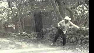 '' El Real'' El burro sin mecate