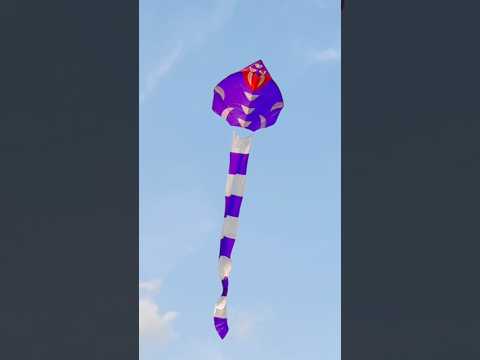 Kite Flying | Patang Ki Video | Yogesh 01