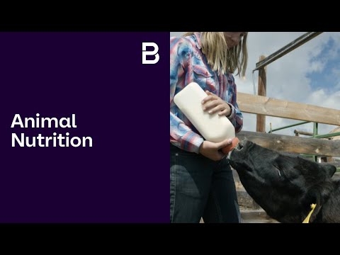 Brenntag Animal Nutrition: Your Partner for Tailor-Made Solutions in the Complex Feed Supply Chain - zdjęcie