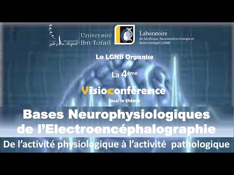 , title : 'Visioconférence - Bases Neurophysiologiques de l’Electroencéphalographie'