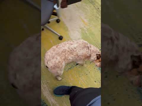 "Don't stop get it get it"