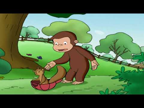 Nysgjerrige Nils Norge | Hvor er kaninene? | Animasjon For Barnas