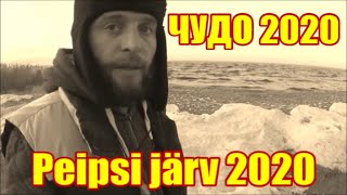 Рыбалка на чудском озере с берегами