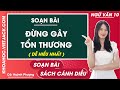 Soạn bài Đừng gây tổn thương Ngữ văn 10 Cánh diều
