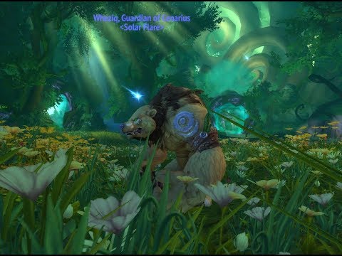Guardian Druid Artifact Appearance Challenge...