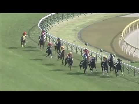 2020.11.01 2yo Newcomer (JPN) - Great Magician