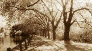 Matt Pond PA - Halloween