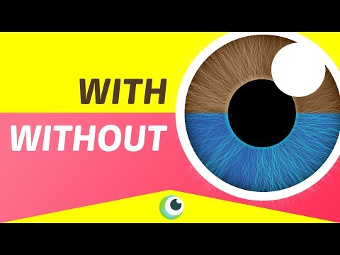 EYE COLOR - なぜ人の目の色は違うのか？ (EYE COLOR - Why do we have different color eyes?)
