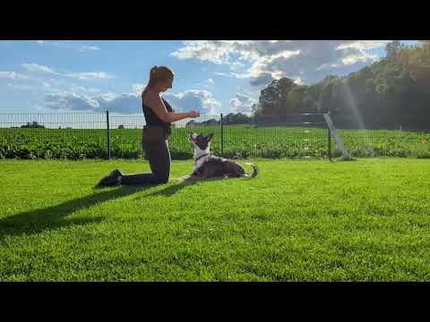 Obi 1 Kimbo - Platz hinten fest