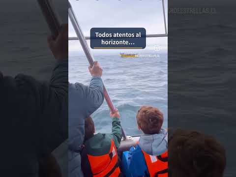 13 de octubre de 2026