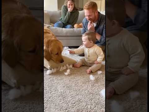 What is the baby punishing the dog for?🤣 #baby #dog #adorable #cute #adorablebaby #shorts #ai