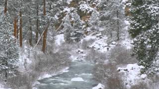 Baby, It's Cold Outside (Live)