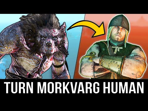Witcher 3: How to Turn the Morkvarg Human (6 Years Later)