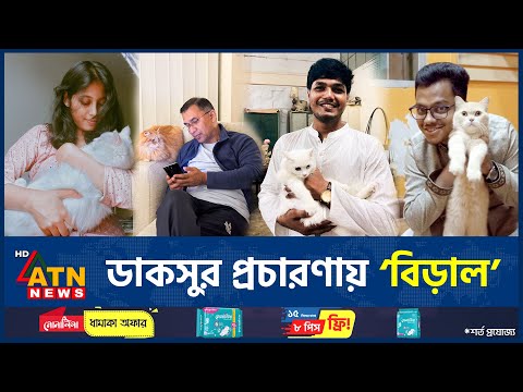 ডাকসুর প্রচারণায় ‘বিড়াল’, ট্রেন্ডে গা ভাসালেন তারেক রহমানও | Daksu Campaign Cat | Tarique Rahman