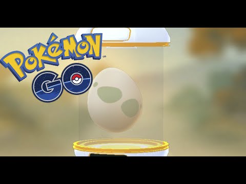 POKÉMON GO: MEUS PRIMEIROS OVOS DE 10Km