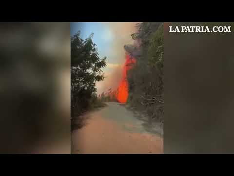 Alarma por incendio forestal de grande magnitud en el sector El Ceibo, de Marmato (Caldas)