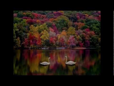 جوزيف ناصيف لو بقدر انساكي