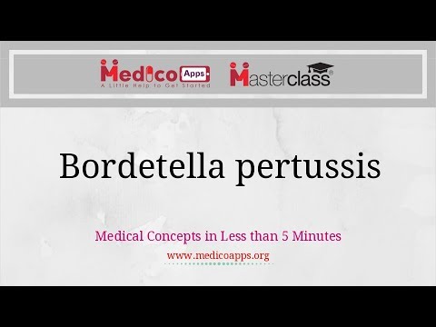 A pertussis toxin hatásmódja