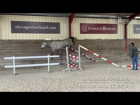 KATANA DE RIVERLAND (Untouchable 27 x Parco)