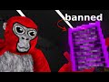 I Tested Banned Gorilla Tag Mods
