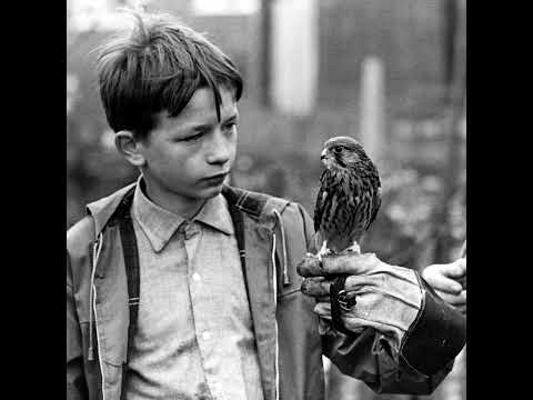 WCH Pod: "Kes" (1969). Ken Loach, A Boy and His Bird.