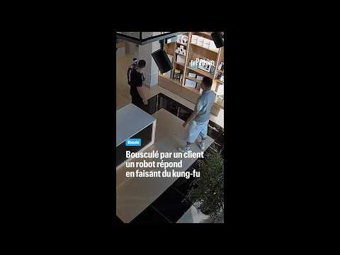 Bousculé par un client, un robot répond en faisant du kung-fu