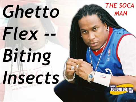Ghetto Flex - Biting Insects [SOCA]