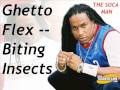 Ghetto Flex - Biting Insects [SOCA]