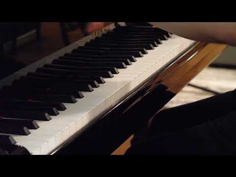 Fleeting Words - NieR: Piano Journeys cover